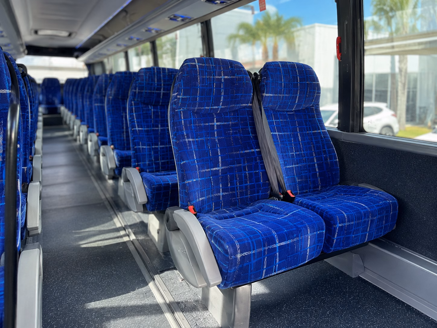explore flamingo gardens and the everglades with a hollywood field trip bus